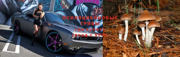 Альфа ПВП Аркадак