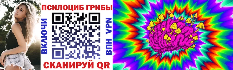 Псилоцибиновые грибы Psilocybine cubensis  Купить где  Кодинск 