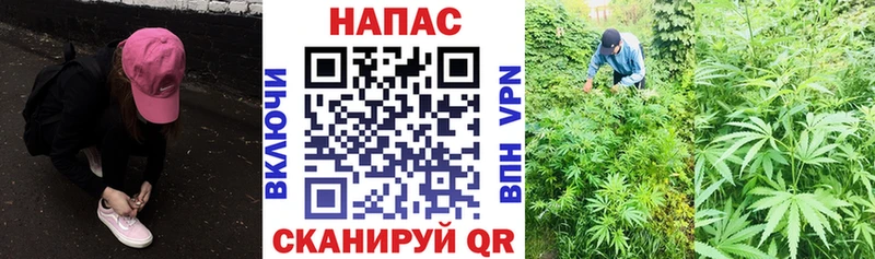 Купить  Кодинск  Шишки марихуана THC 21% 